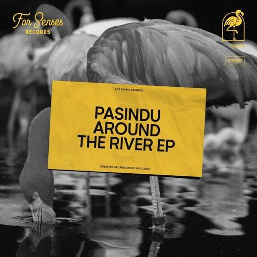 Pasindu - Around the River [FSR004]